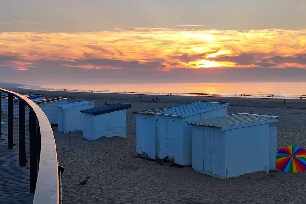 Studio Calais Front De Mer-Le Cocon Du Dragon-Classe 3 Etoiles ภายนอก รูปภาพ